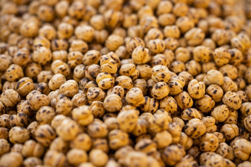 Stay Full and Healthy with These 8 Diabetes-Friendly Snacks