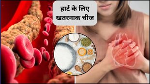 Sugar increases risk of heart attack, causes of heart attack, how cholesterol increases, symptoms and signs of cholesterol