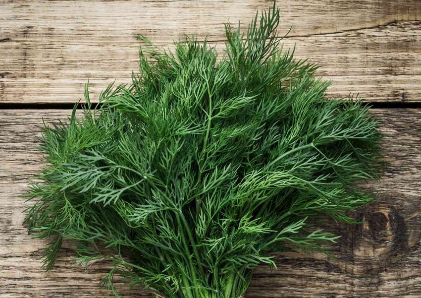Superfoods for Strong Immunity and Wellness