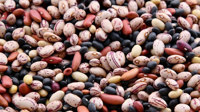 Longevity diet foods