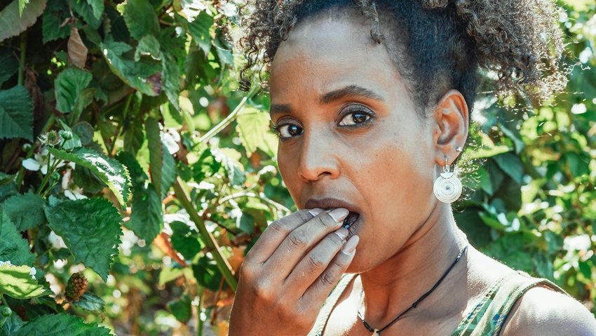 These Leaves Can Heal Mouth Ulcers and Remove Yellow Stains from Teeth