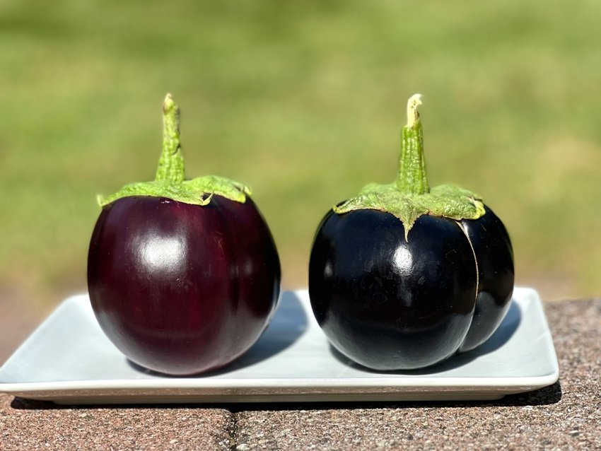 Top Vegetables to Keep Your Heart Healthy and Strong