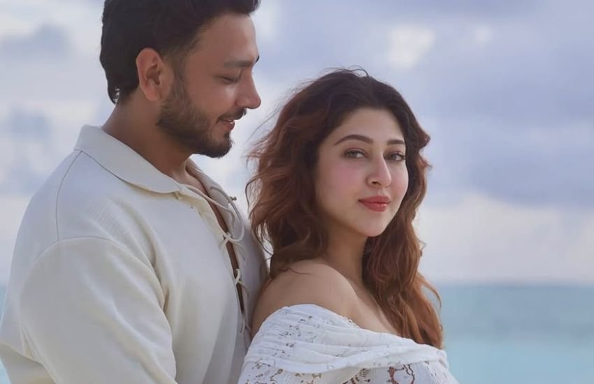 sonarika pregnancy
