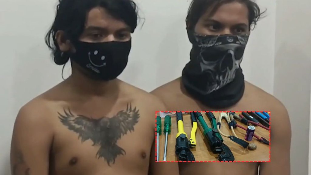 bat gang, vadodara bat gang, gujarat bat gang