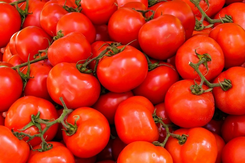 Vegetables You are Probably Storing Wrong