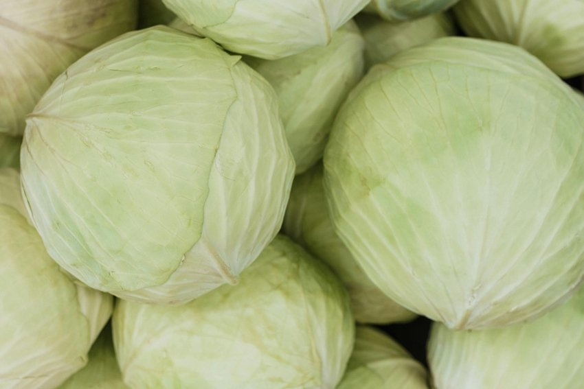 Veggies That Fight Bad Cholesterol