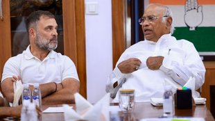 Vice President Elections, Vice President of India, B Sudharshan Reddy