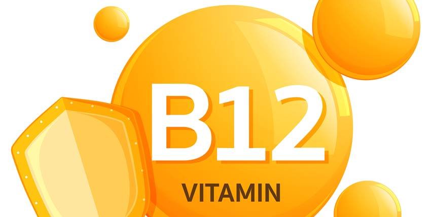 Importance of Vitamin B12