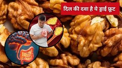 दिमाग और दिल के लिए वरदान है अखरोट, खाली पेट Walnut का सेवन पानी में भिगोकर करें तो मिलेंगे अद्भुत लाभ, आयुर्वेदिक डॉक्टर से जानें फायदे