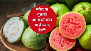 guava benefits, white vs pink guava, which is more healtheir - white or pink guava, indianexpress.com, indianexpress, white vs pink guava for health,