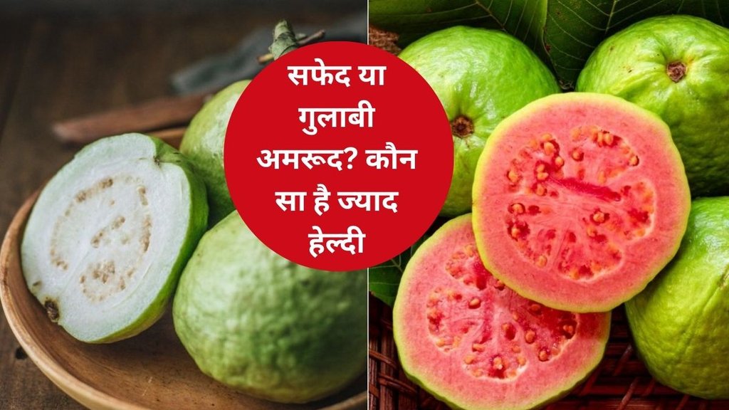 guava benefits, white vs pink guava, which is more healtheir - white or pink guava, indianexpress.com, indianexpress, white vs pink guava for health,