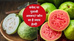 White or Pink Guava: सफेद अमरूद खाना सेहत के लिए फायदेमंद है या फिर गुलाबी अमरूद, किसे खाने से बॉडी को मिलता है ज्यादा फायदा, जानिए