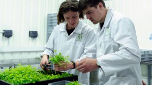 What Science Reveals About Plants Senses
