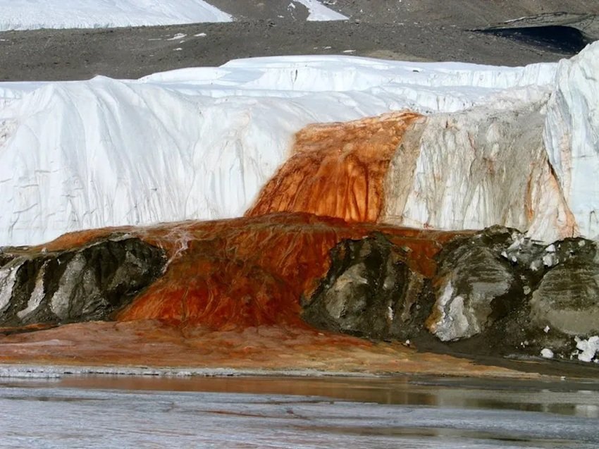 Why Does a Glacier in Antarctica Flow Like Blood