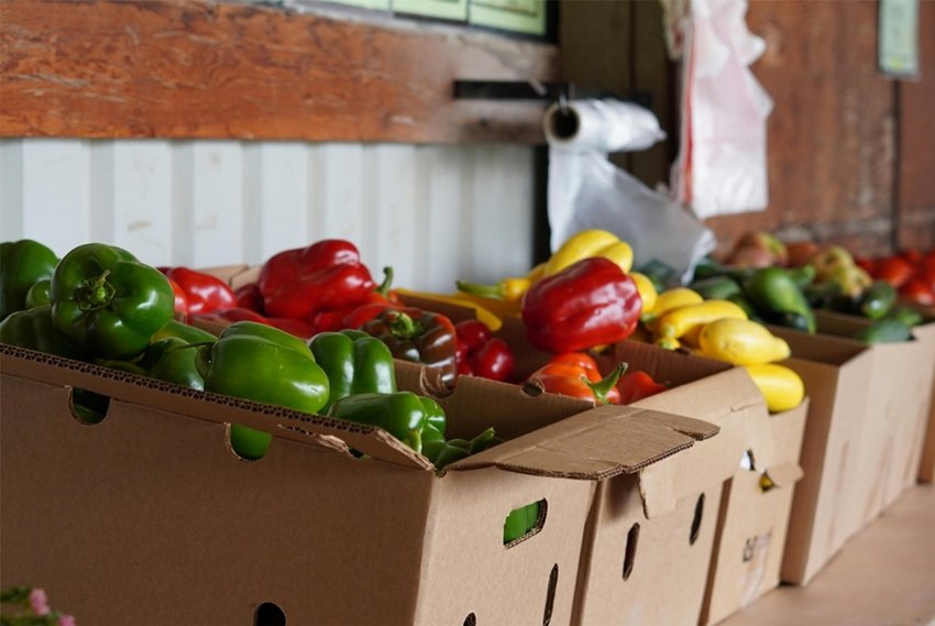 Why Experts Say Never Refrigerate these vegetables