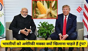 Why US targets India for maize exports