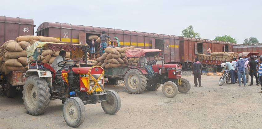 Why India does not buy maize from USA