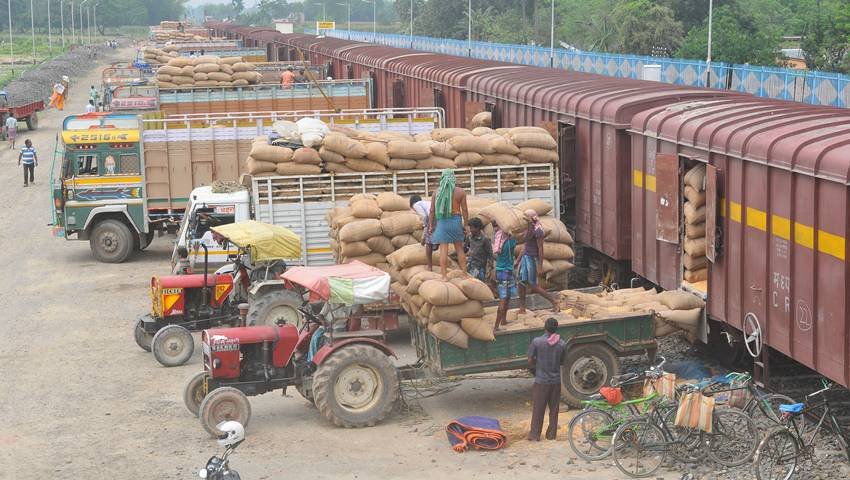 India maize imports explained