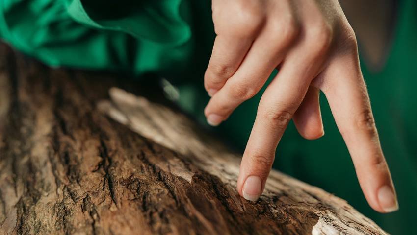 Touch wood religious belief