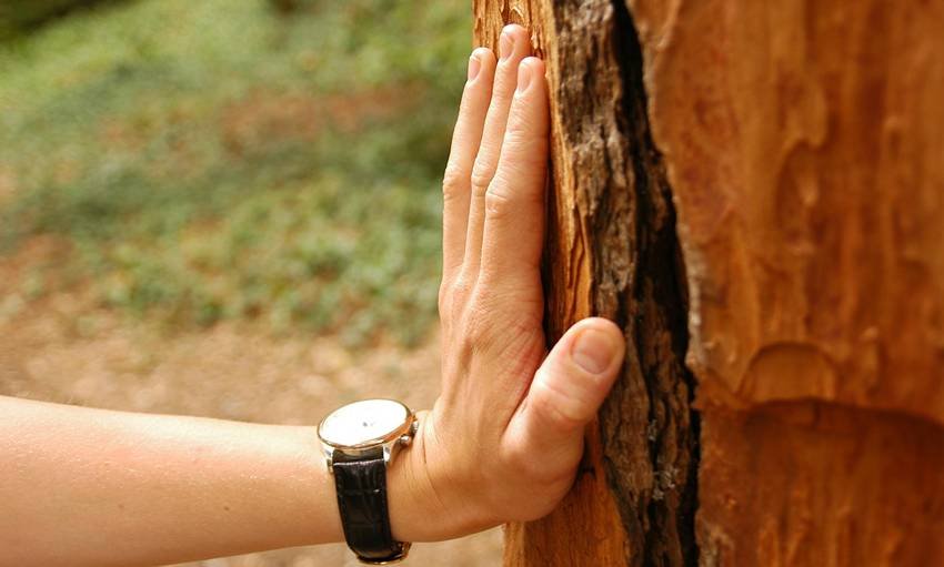 Touch wood superstition