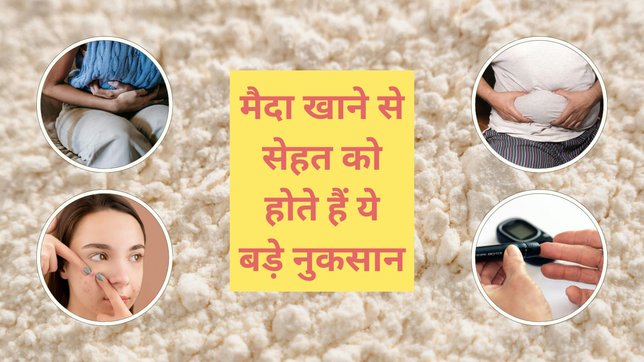Maida health effects