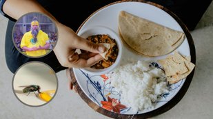 Premanand Maharaj on pure food