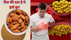 रोज़ इस तरह करें बादाम का सेवन तो हो सकता है Cholesterol कंट्रोल और टल सकता है दिल के रोगों का खतरा, जानिये कैसे