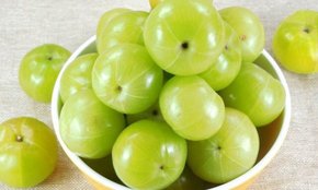 amla recipes, amla juice benefits, immunity boosting foods