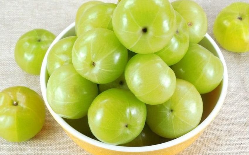 आंवले को आयुर्वेद में अमृतफल कहा गया है। इसमें विटामिन-सी, एंटीऑक्सीडेंट और खनिज प्रचुर मात्रा में पाए जाते हैं, जो प्रतिरक्षा तंत्र को मजबूत बनाते हैं। इसका स्वाद खट्टा-मीठा होता है, जिसे कई तरीकों से खाया जाता है।