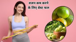 Amla vs Orange: वेट लॉस और मेटाबॉलिज्म बूस्ट के लिए कौन सा फल सबसे बेहतर, एक्सपर्ट से जानिए