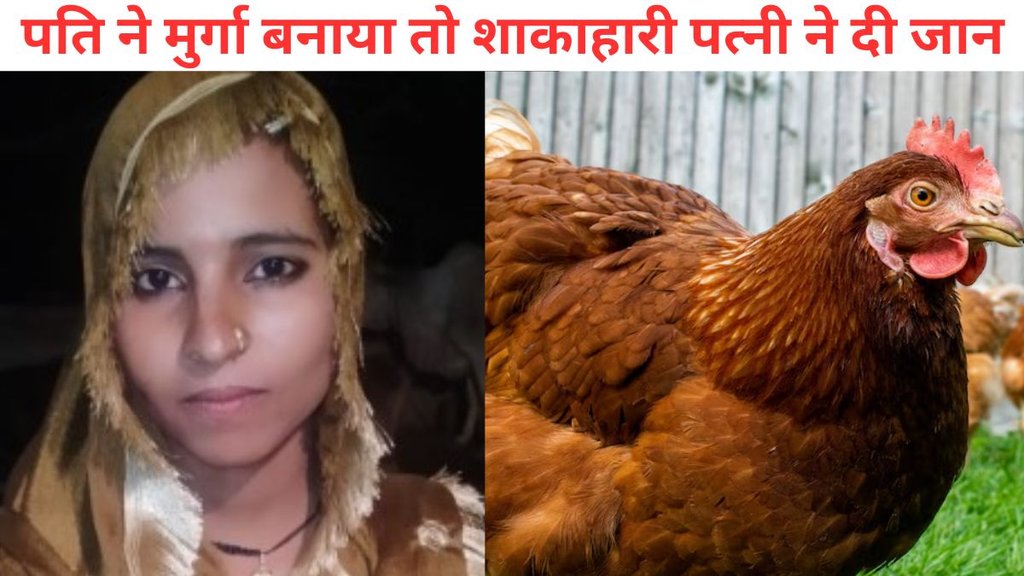amroha news, amroha lady hanged herself, dispute over chicken with husband