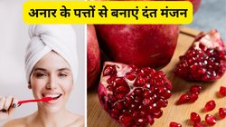 पीले दांत और मुंह की बदबू से हैं परेशान तो ट्राई करें अनार के पत्तों से बना ये दंत मंजन, जानें बनाने का आसान तरीका