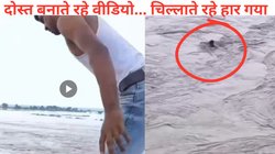 यमुना नदी पार करोगे तो मिलेंगे 500 रुपये! दोस्तों ने लगाई शर्त, उफान में कूदा लड़का, डूब कर बह गया, हारा जिंदगी की जंग; रूह कंपा रहा Viral Video