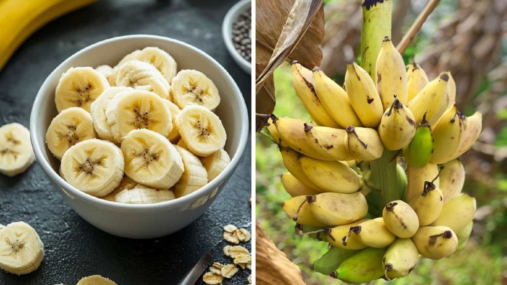 banana burfi recipe in hindi, kele ki barfi kaise banaen