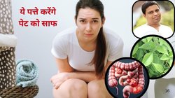 4 सप्ताह से ज्यादा कब्ज है तो सड़ सकती हैं आंतें, आचार्य बालकृष्ण का अचूक उपाय, इस पेड़ के 4-5 पत्ते रोज़ चबा लें, पेट के लिए बन जाएंगे अमृत