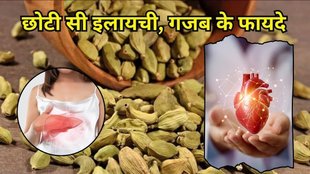Benefits of Cardamom, Cardamom Health Benefits, Queen of Spices, How to Use Cardamom, Cardamom Recipes, Cardamom for Digestion, Cardamom and Heart Health