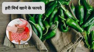 reen chilly cultivation at home, hari mirch kaise ugaye, home gardening tricks, Health benefits of green chili, Green chili for digestion, Green chili for weight loss, Capsaicin in green chili