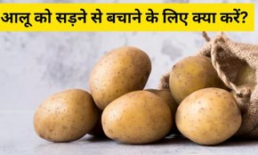 how to store potatoes, how to choose fresh potatoes,