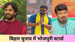 बिहार चुनाव में दिख सकते हैं ये कलाकार, जानें भोजपुरी स्टार्स का रिपोर्ट कार्ड