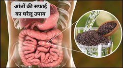 आंतों में सड़ा मल जड़ से हो सकता है साफ, रोजाना करने लें ये 1 काम, पाचन तंत्र भी हमेशा रहेगा मजबूत