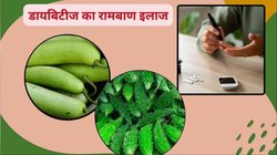 डायबिटीज कंट्रोल करने में मददगार होगी ये 5 हरी सब्जियां, दवा से मिल सकता है छुटकारा, एक्सपर्ट से जानिए कैसे करें इस्तेमाल
