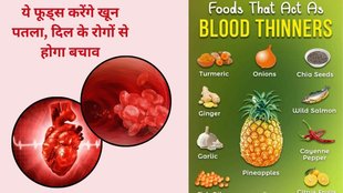 natural blood thinning foods that support heart health,prevent blood clots,plant-based diet,natural blood thinners,Mediterranean diet benefits