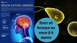 दिमाग को खाने वाले अमीबा से 120 लोगों की गई जानें, आखिर क्या है इसके लक्षण, कब हमें हो जाना चाहिए होशियार, जानें डिटेल