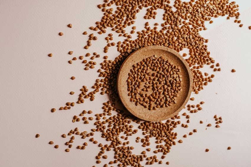 buckwheat