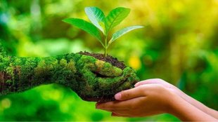 carbon credit