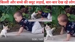 दोनों तरफ से हमला 1000 प्रतिशत, नुकसान 0.00%, छोटी बिल्ली और बच्चे के बीच जंग, आखिर में जो हुआ देख चौंक जाएंगे; देखें Viral Video