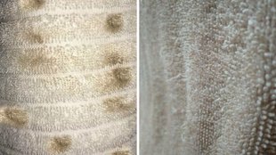 clean kitchen towels, clean kitchen towels with vinegar, kitchen towel ki safai