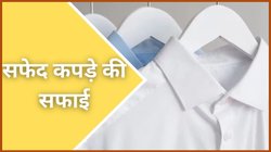 सफेद कपड़ों पर लग गए हैं जिद्दी दाग? इन घरेलू उपाय से कॉलर का पीलापन भी होगा दूर