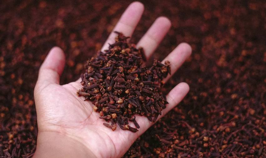 health benefits of clove water