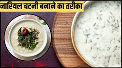 इडली के लिए साउथ इंडियन स्टाइल में बनाएं नारियल की चटनी, यहां देखें आसान रेसिपी